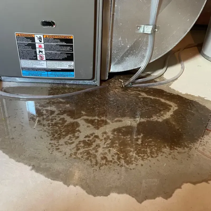 Appliance Leak Cleanup in Franklin County, NC